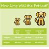 Epimmune Superbiotic for Dogs Settles the Digestion & Boosts the Immune System