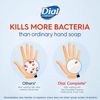 Dial Antibacterial Fresh Pear Hand Soap Refill 52 Fl Oz