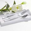 Silver Plastic Plates with Disposable Plastic Silverware Tableware 40 Guest Set