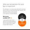 Minimalist Ceramide Lip Balm