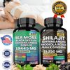 Dynamic Vitality Bundle - Sea Moss Multivitamin & Shilajit Power Combo SET~US