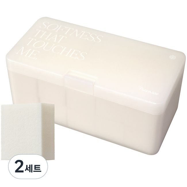 Picasso Latex Square Sponge + Case Set