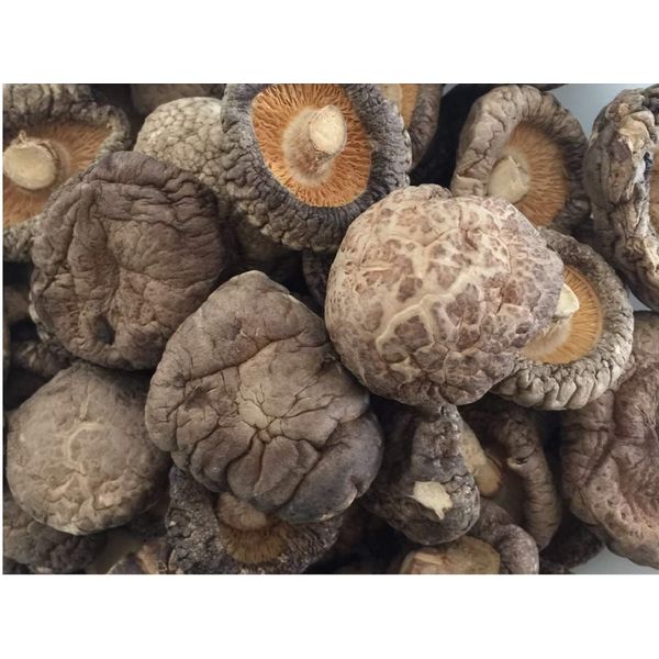 PREMIUM DRIED SHIITAKE CHINESE MUSHROOM (2 Pound 4-5cm)