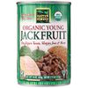 Native Forest Organic Young Jackfruit, 14 oz