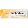 Euphorbium comp. Nasentropfen SN, 20 ml Lösung