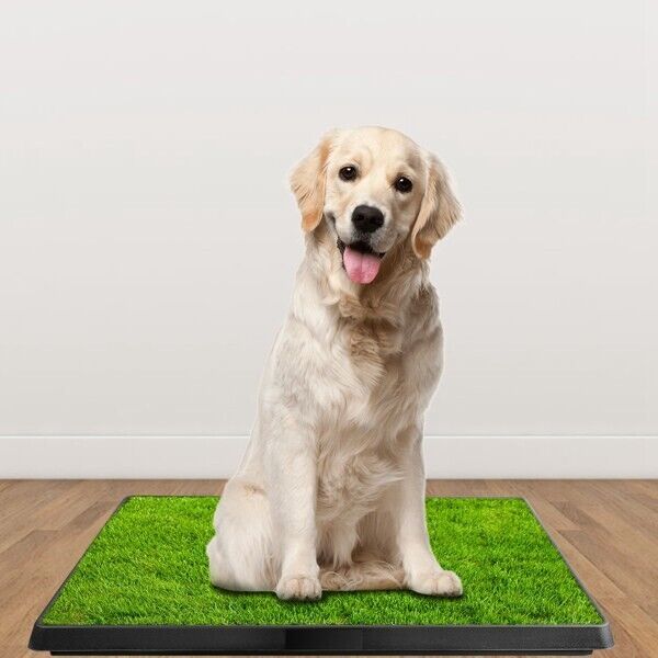 Dog Toilet Indoor Puppy Training Pad, Dog Potty Pet Training Grass Mat, 25"×20"