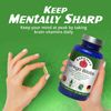 Ginkgo Biloba Brain Support – Natural Supplements for Memory, Focus, and Mental