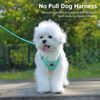 Poseca Dog Harness and Leash Set, Soft Mesh Breathable Dog Harness, Reflective Plaid, No Pull, Small/Medium/Large, Green