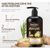 Ginger Hair Growth Shampoo