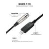 Smays Balanced Microphone DMX 512 XLR to USB Computer Audio Recording Cable 10ft
