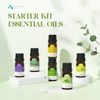 ASAKUKI Essential Oils Set, Starter Kit Essential Oils for Diffusers for Home Top6 Aromatherapy Oils Gift Set 6 * 10mL, Includes Lavender, Eucalyptus, Lemongrass, Tea Tree, Sweet Orange, Peppermint