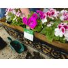 Bosmere F954 36-Inch Pre-Formed Replacement Coco Liner with Soil Moist for Rectangular Planter