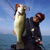 Megabass UOZE Swimmer Lure, 3/8 oz, Gill