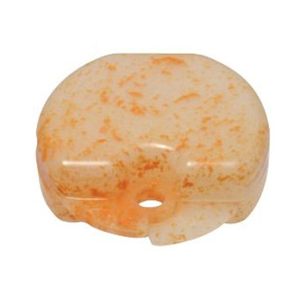 Orthodontic Retainer Case Splash Tangerine 2 Pack