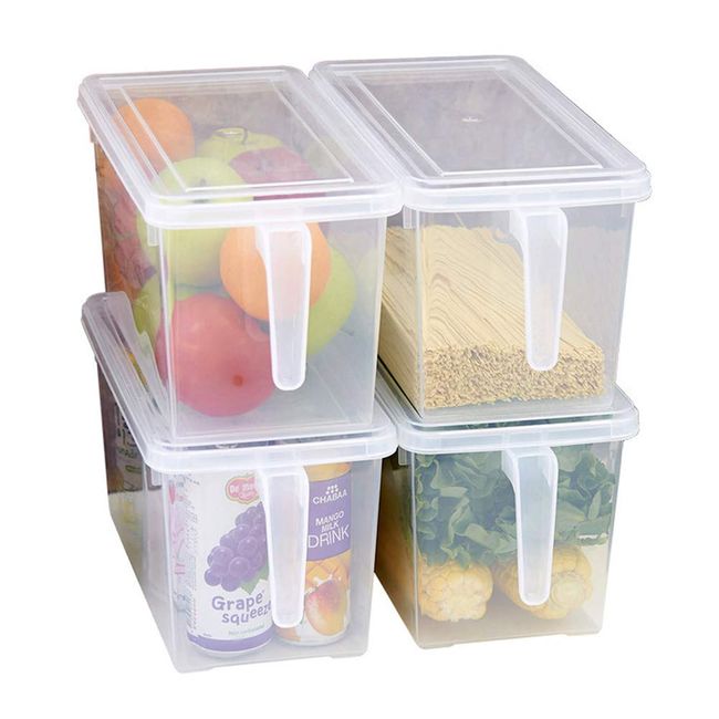 Food Storage Container With Handle & Lid For Pantry, Fridge