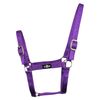 Saxon Economy Headcollar, Black, Full