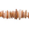 Gold-Lip Sea Shells Nacre Nuggets Shell Beads Size:9x8mm