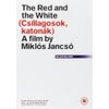 The Red And The White [DVD]
