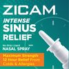 Zicam Intense Sinus Relief No-Drip Liquid Nasal Spray with Cooling Menthol & Eucalyptus, 0.5 Ounce (Pack of 1)