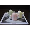 handmade scented soycandles catcus gifts home decor