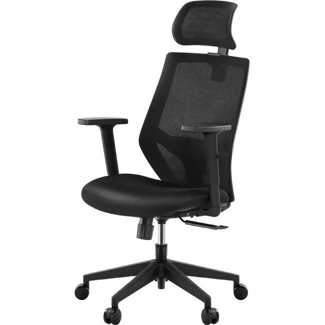 Ergonomic Office Chair, Mesh Chair with Lumbar Support, Tribesigns High Back Desk Chair with Breathable Mesh
