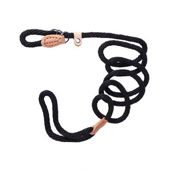 Training Pet Training Leash Training Dog Training Slid Slid Slid Dog