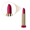 Max Factor Colour Elixir Lipstick with Vitamin E Shade Chilli 080, 4 g