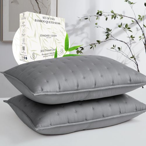 Southshore Fine Living, Inc. Bed Pillow Covers, Standard Size, Silky-Soft Rayon Derived from Bamboo Decorative Pillow Shams, Queen Size Set of 2, Hotel Quality 300 Thread Count, 20" x 26", Steel Gray