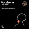 Vocalzone Throat Pastilles 24 Blackcurrant