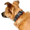 HUNTER Maldon Collar Colour: Green, Breathable Mesh, Robust Nylon, Silent and Allergy Friendly, Strain Relief, Integrated Address Label, Especially Light, Size: M