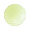 Alnicov 2pcs Luminous Balls For Fun Pet Training And Dog Training