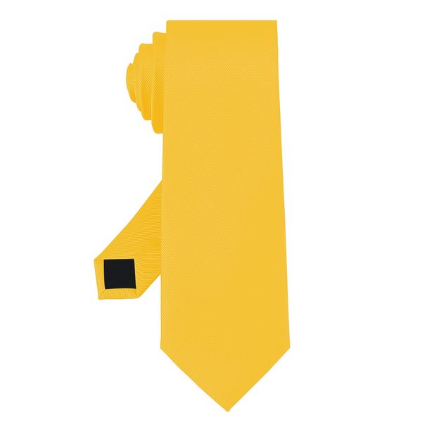 Junmaxroad Golden Yellow Ties For Men Solid Color Formal Neckties 3.15" (8CM) Men's Ties