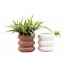 Bubble Planters 2-Pack 4.5 Inch, Succulent Planter, Stacked Ring Pot