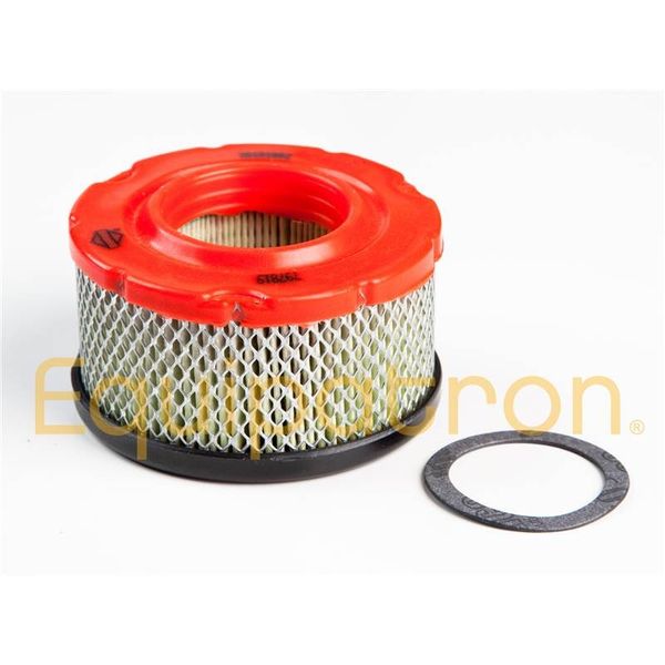 Briggs & Stratton 797819 Air Cleaner Cartridge Filter - OEM Replacement Part
