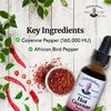 Christopher's Original Formulas Hot Cayenne Herbal Extract 1 Fl Oz Liquid Sup...