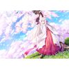瑠璃櫻 通常版