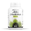 Bio Pewter – Common Field Horsetail – 190mg – 200 capsules