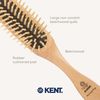 Kent Hog Range Woody Hog Hair Brush