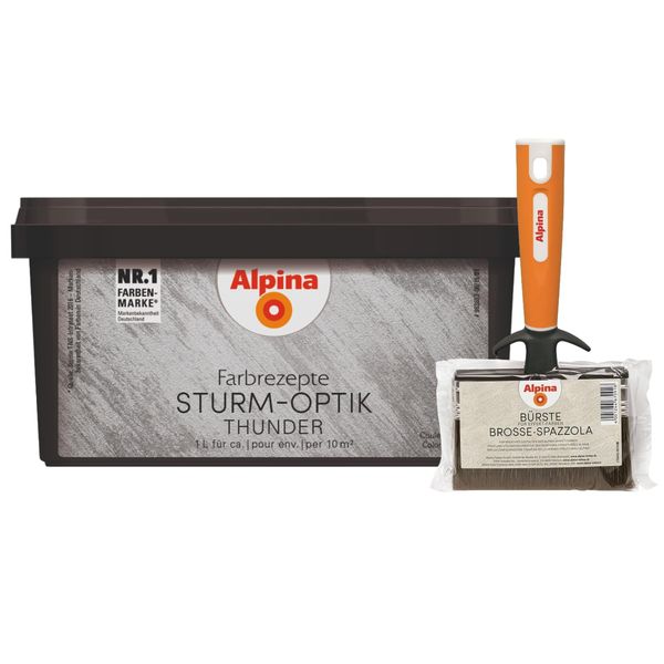 Alpina Farbrezepte STURM-OPTIK Silber 1 Liter + Bürste