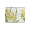 Villeroy & Boch 1035141280 Amazonia Saucer Tea Cup