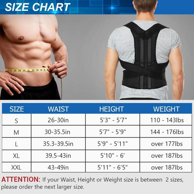 Back Brace Posture Corrector for Women and Men, Braces Upper Lower Pain  Relief, Adjustable Fully Support Improve Lumbar Support(L, 35.5-41.5  Waist)