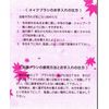 Makeup Brush Mr Series – 5 – 1 feisupauda-burasi Premium Goat Hair Kumano Miyao Industrial Brush Makeup Brush