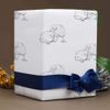 A1 'Kiwi Birds' Gift Wrap/Wrapping Paper Sheet (GI00102793)