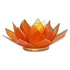 Capiz Lotus Light Orange Chakra 2 Gold Rim 13.5 cm
