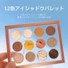 Hexze Eyeshadow Palette, 12 Colors, Pro Eye Palette, Eye Planner Palette, Makeup Palette, High Color, Lasting #01