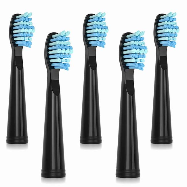 SEAGO SG-010 Electric Toothbrush Replacement Brush Heads Refill,2pcs, Suitable for SG507/SG551/SG910/SG958/SG575,Plaque Control,Gum Health,HealthyWhite（Black）