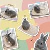 Mini Animan Rabbit Natural Mat for Rabbits
