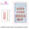 False Nails by Bling Art Beige Matte Oval Medium Fake Acrylic Tips Glue