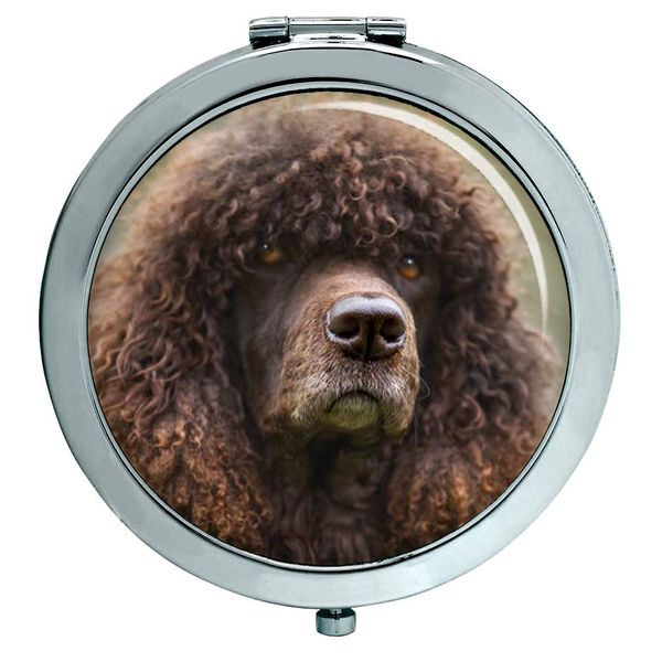 Irish Water Spaniel Compact Mirror