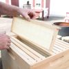 10 Frame Medium Assembled Beekeeping Box, Plastic Foundation Frames, Amish Made